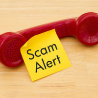 Yellow plate that reads scam alert Yellow plate that reads scam alert